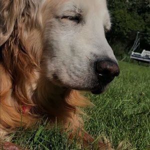 Meet your Posher, Syd